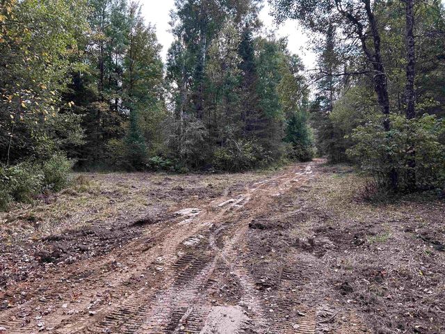 W13821 LLOYD CREEK ROAD, Gleason, WI 54435