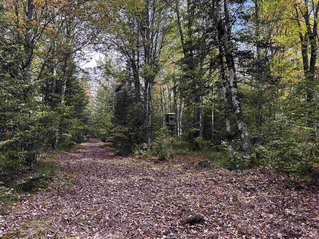 W13821 LLOYD CREEK ROAD, Gleason, WI 54435