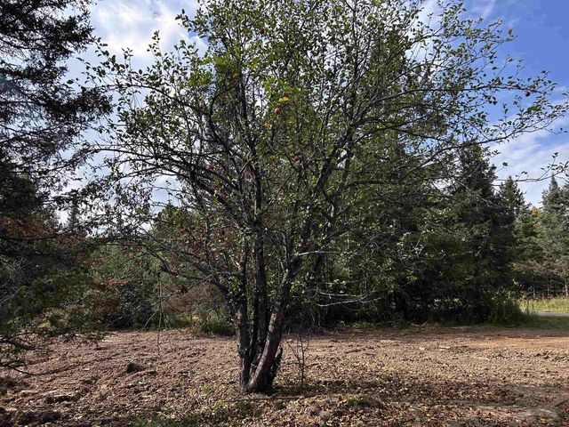 W13821 LLOYD CREEK ROAD, Gleason, WI 54435