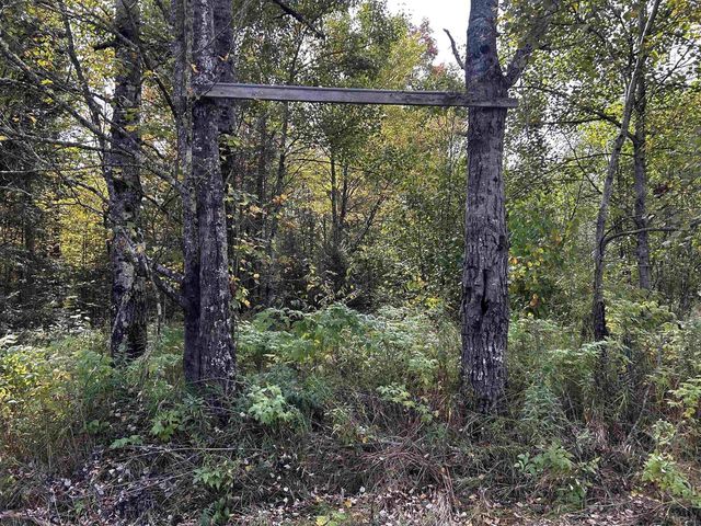 W13821 LLOYD CREEK ROAD, Gleason, WI 54435