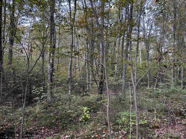 W13821 LLOYD CREEK ROAD, Gleason, WI 54435