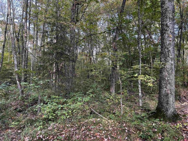 W13821 LLOYD CREEK ROAD, Gleason, WI 54435