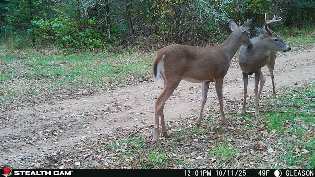 W13821 LLOYD CREEK ROAD, Gleason, WI 54435