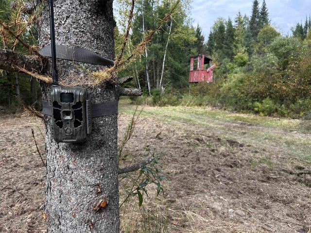 W13821 LLOYD CREEK ROAD, Gleason, WI 54435