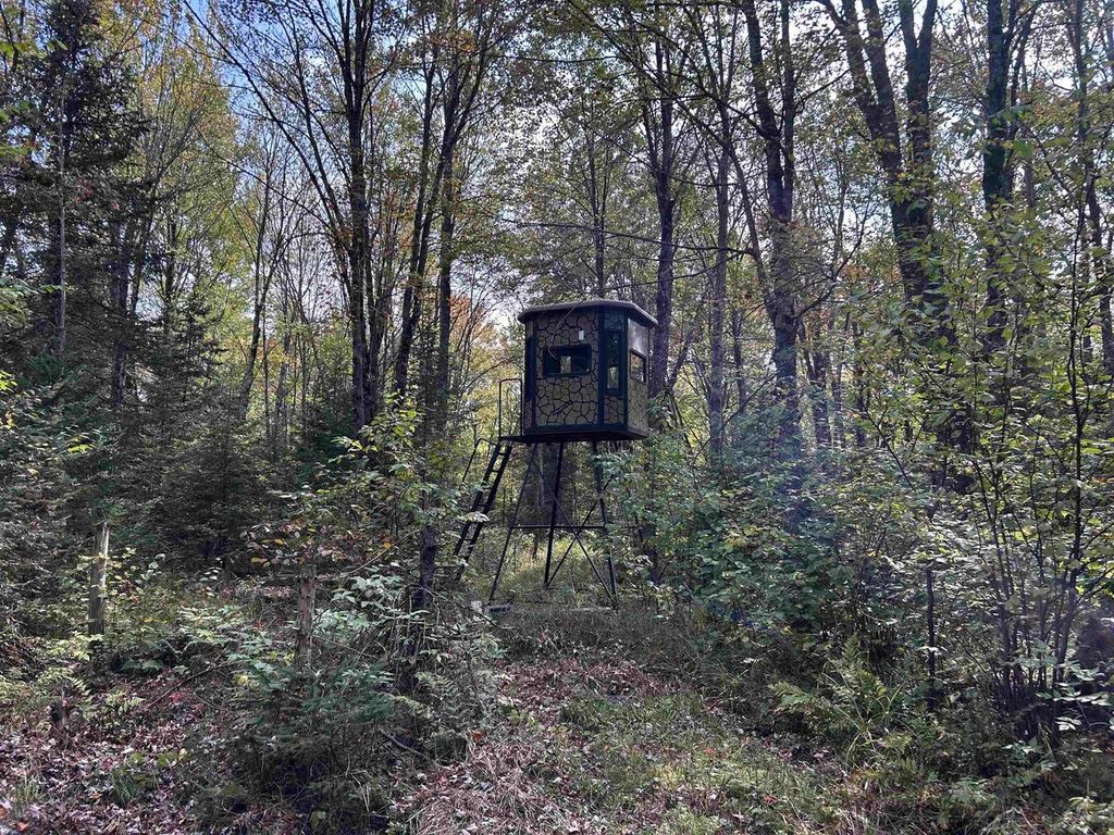 W13821 LLOYD CREEK ROAD, Gleason, WI 54435