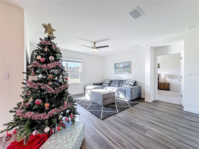 348 TALISI LOOP, St Cloud, FL 34771