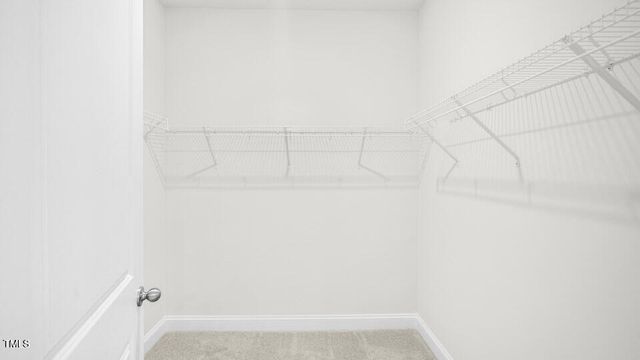 2200 Warbler Drive, Apex, NC 27539