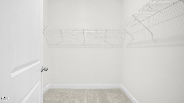 2200 Warbler Drive, Apex, NC 27539