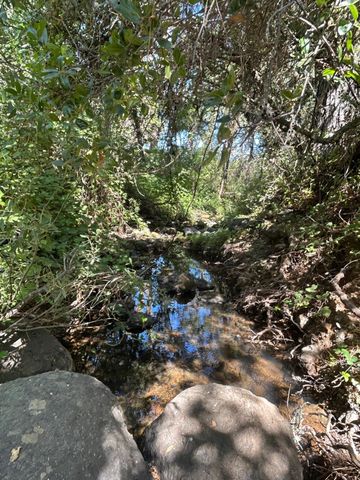 9153 Manzanita Ln, Oregon House, CA 95962