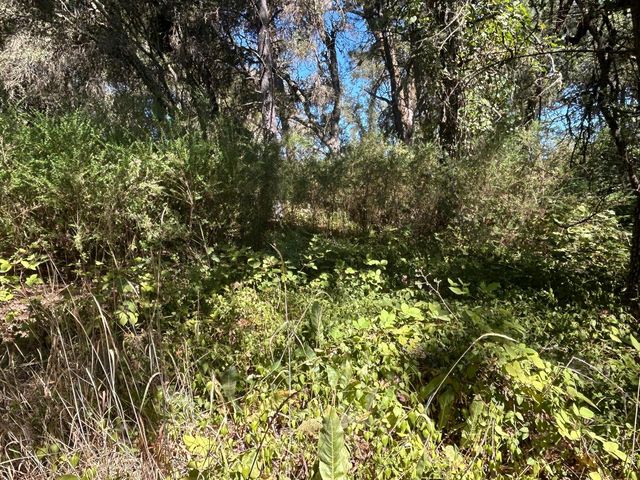 9153 Manzanita Ln, Oregon House, CA 95962