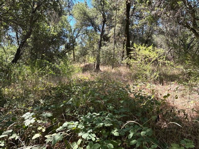 9153 Manzanita Ln, Oregon House, CA 95962