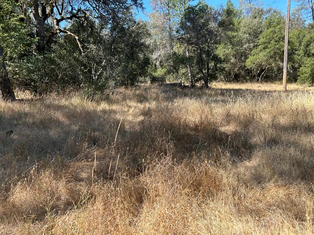 9153 Manzanita Ln, Oregon House, CA 95962