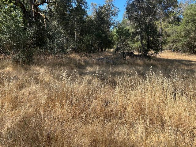 9153 Manzanita Ln, Oregon House, CA 95962