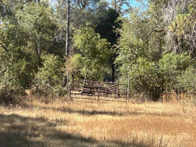 9153 Manzanita Ln, Oregon House, CA 95962