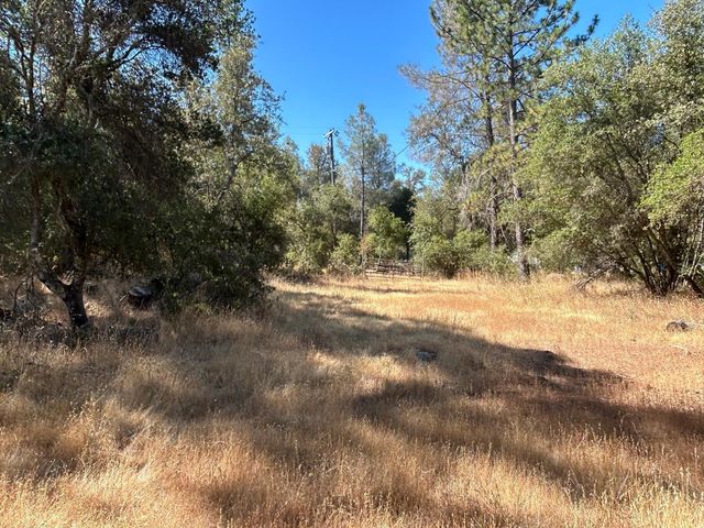 9153 Manzanita Ln, Oregon House, CA 95962