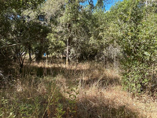 9153 Manzanita Ln, Oregon House, CA 95962