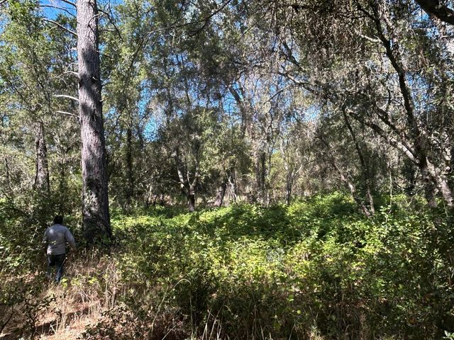 9153 Manzanita Ln, Oregon House, CA 95962