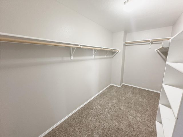 9909 Fantail LN, Temple, TX 76502