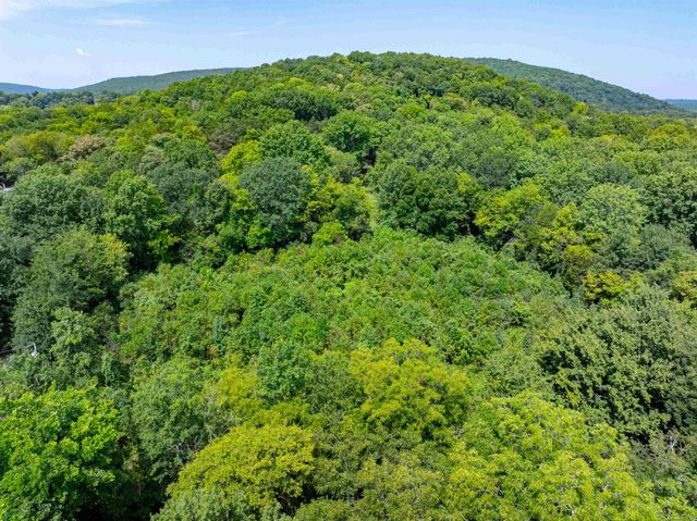 64 Lock 2 Rd, Locust Grove, AR 72550