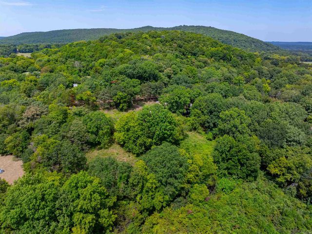 64 Lock 2 Rd, Locust Grove, AR 72550