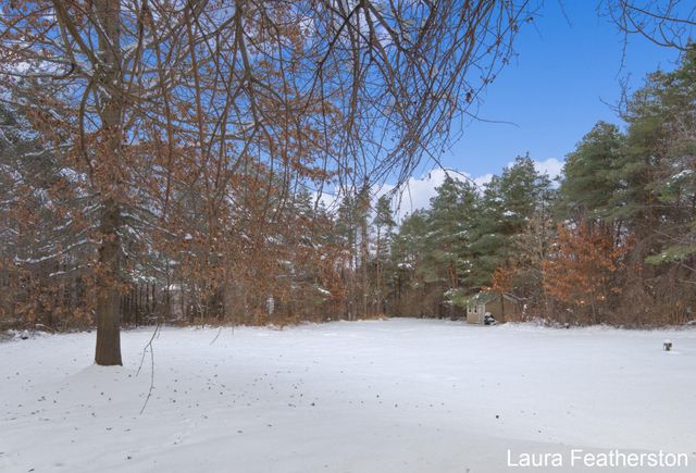 9735 Wildcat Run Court Ne, Oakfield Twp, MI 49341