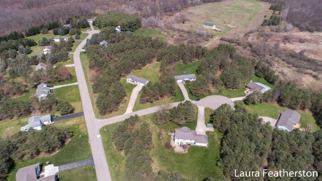 9735 Wildcat Run Court Ne, Oakfield Twp, MI 49341