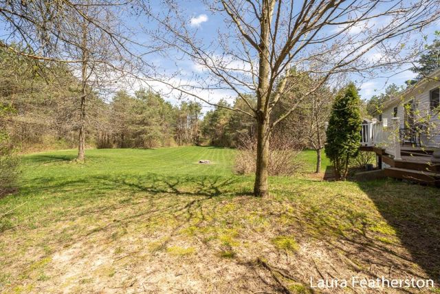 9735 Wildcat Run Court Ne, Oakfield Twp, MI 49341