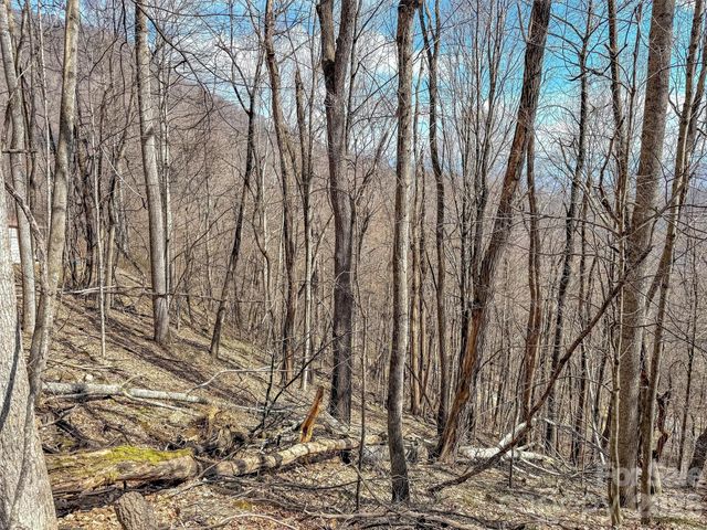 TBD Chipmunk Circle 27, Waynesville, NC 28785