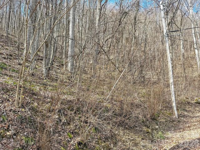 TBD Chipmunk Circle 27, Waynesville, NC 28785