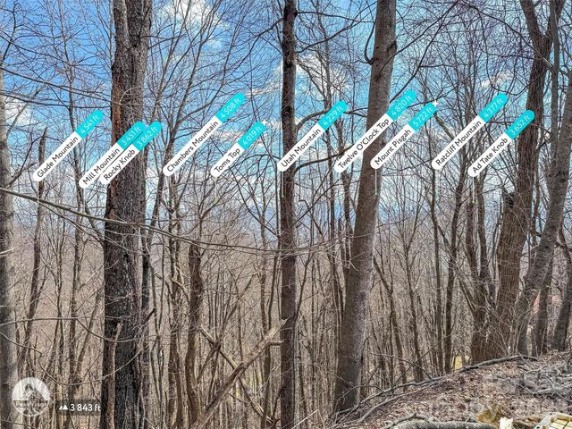 TBD Chipmunk Circle 27, Waynesville, NC 28785