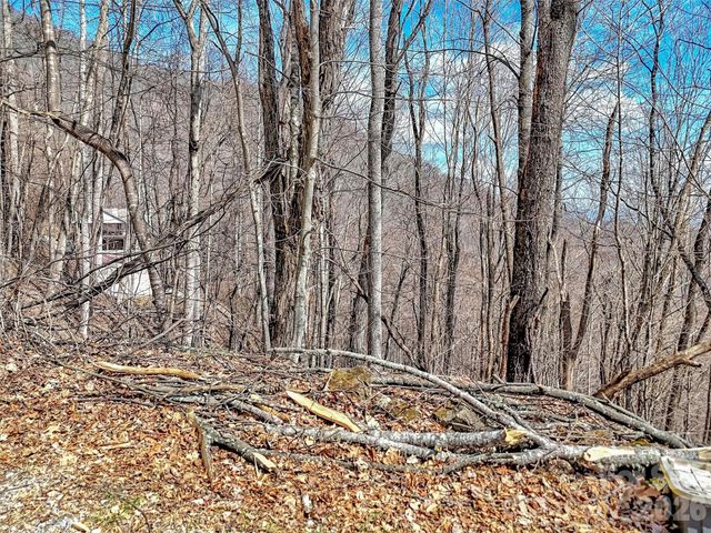 TBD Chipmunk Circle 27, Waynesville, NC 28785