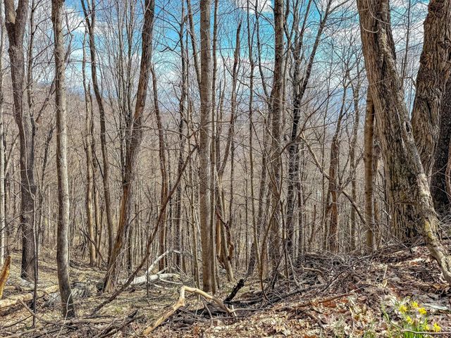 TBD Chipmunk Circle 27, Waynesville, NC 28785