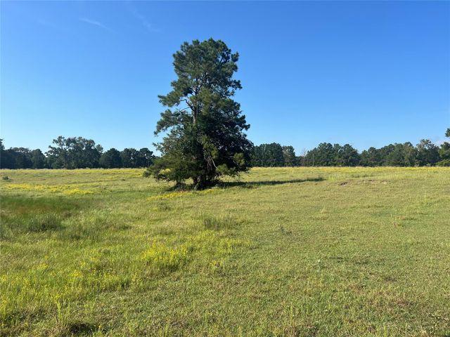 000 Hardy Bottom Road, Huntsville, TX 77340