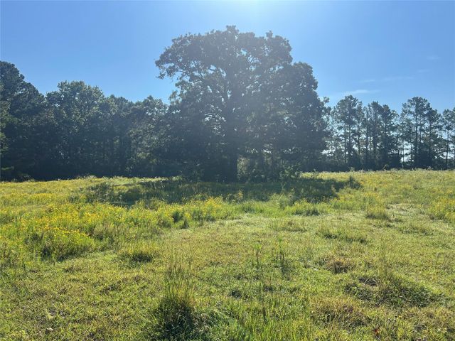 000 Hardy Bottom Road, Huntsville, TX 77340