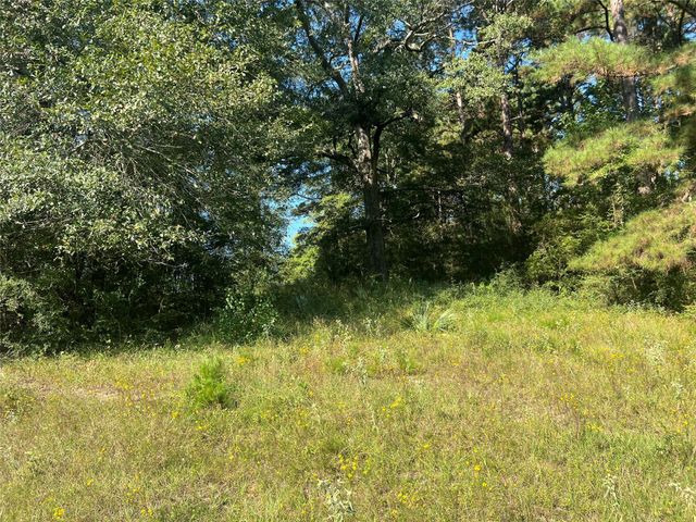 000 Hardy Bottom Road, Huntsville, TX 77340