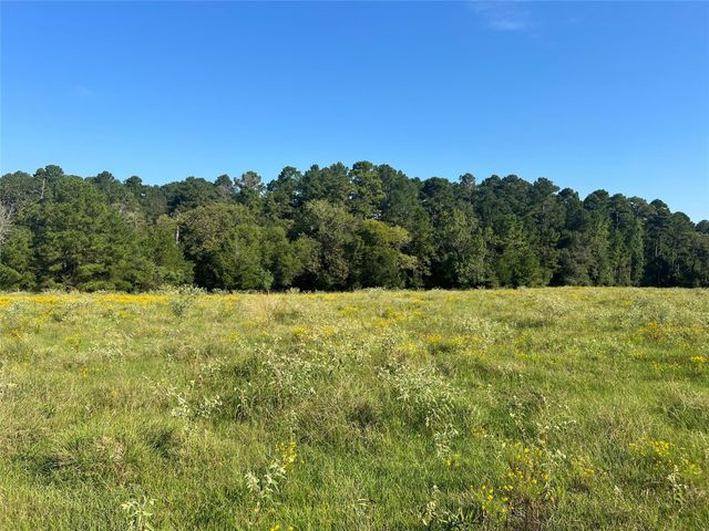 000 Hardy Bottom Road, Huntsville, TX 77340