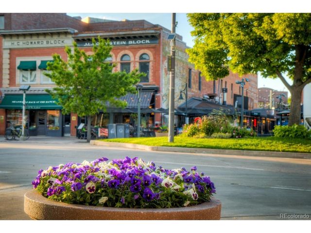 153 Mathews St 113A, Fort Collins, CO 80524