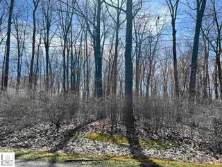 Schoolcraft Drive, Davison, MI 48423