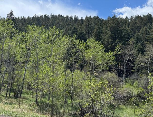 S Maxwell Hill Road, Littleton, CO 80127