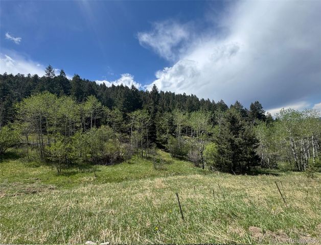 S Maxwell Hill Road, Littleton, CO 80127