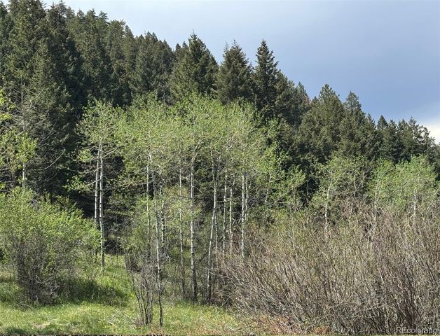 S Maxwell Hill Road, Littleton, CO 80127