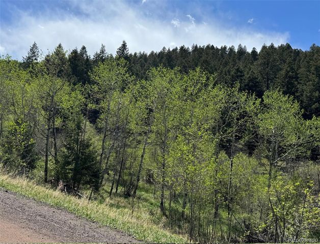 S Maxwell Hill Road, Littleton, CO 80127
