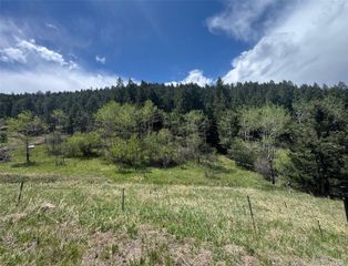S Maxwell Hill Road, Littleton, CO 80127