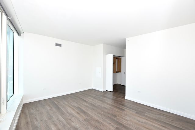 1000 S Michigan Avenue 5901, Chicago, IL 60605