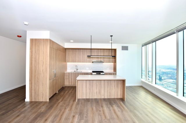 1000 S Michigan Avenue 5901, Chicago, IL 60605