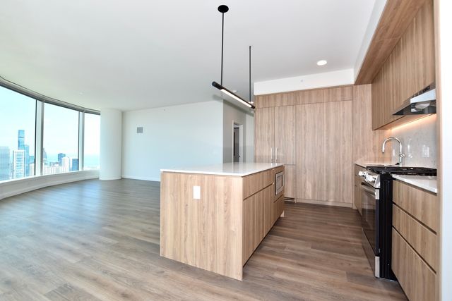 1000 S Michigan Avenue 5901, Chicago, IL 60605