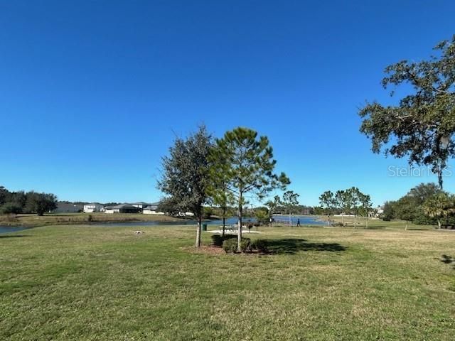 13850 MOOSEHEAD CIRCLE, Hudson, FL 34669