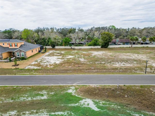 18442 PURPLE CREEK LANE, Lutz, FL 33549