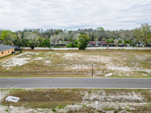 18442 PURPLE CREEK LANE, Lutz, FL 33549