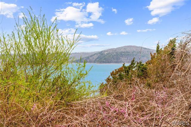 680 Emerald Pointe Drive 1, Hollister, MO 65672